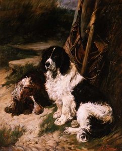Brązowo-biały i czarno-biały spaniel autorstwa John Emms