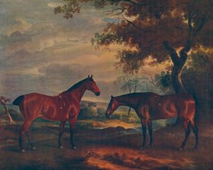 Łowcy Yorkshire w Grass, c1840, 1922