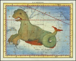 1776 - John Flamsteed - La Baleine (Cetus) autorstwa John Flamsteed
