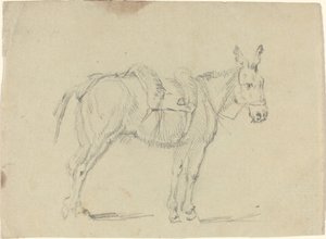 Osioł rozciągający tylną nogę autorstwa John Flaxman