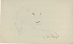 Lew autorstwa John Flaxman