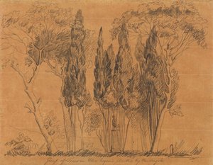 Drzewa w Villa Negroni Posadzone przez M. Angelo autorstwa John Flaxman