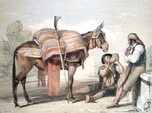 Chłopi wędrowni z mułem, Andaluzja