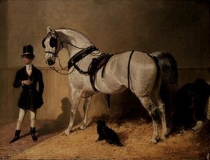 Koń powozowy św. Jakuba autorstwa John Frederick Herring Senior