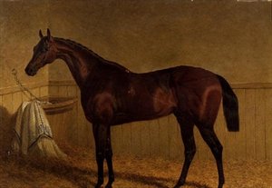 „Beeswing”, gniady koń wyścigowy w luźnym pudełku autorstwa John Frederick Herring Senior