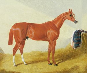 Eliza, 1836 r autorstwa John Frederick Herring Senior