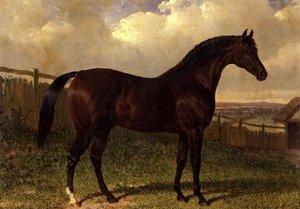 „Emilius”, gniady koń wyścigowy na padoku autorstwa John Frederick Herring Senior