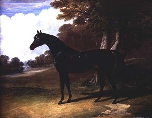 Gaucus, ciemny koń gniady w zalesionym krajobrazie (olej na płótnie) autorstwa John Frederick Herring Senior