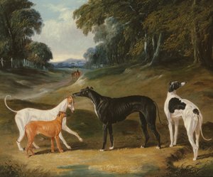 Charty, „Punkt”, „Skylark”, „Pokrzywa” i „Niebo”