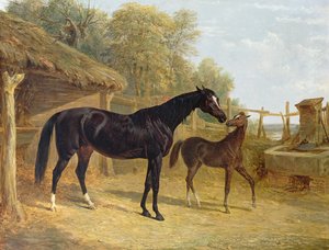 Levity, własność J.C.Cockerill Esq., ze swoim źrebakiem Queen Elizabeth, własność Lorda Dorchester, 1843