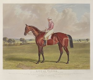 „Little Wonder”, zwycięzca Derby Stakes w Epsom, 1840, grawerowany przez Charlesa Hunta (1803-77), wyd. S. und J. Fuller, 1840 (akwatinta) autorstwa John Frederick Herring Senior