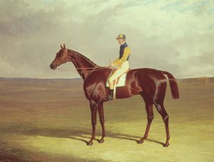 Pan M. Stanleys kula na Newmarket Heath, 1833 autorstwa John Frederick Herring Senior