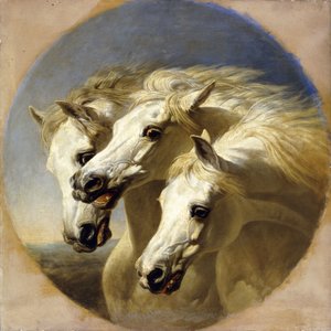 Konie faraona, 1848
