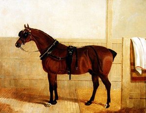 Nagroda Shire Horse w uprzęży autorstwa John Frederick Herring Senior