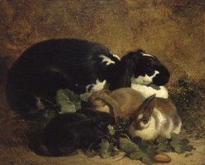 Króliki autorstwa John Frederick Herring Senior