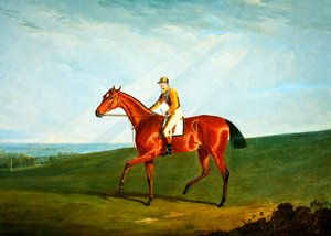 Pierścionek z J. Jackson Up, ok. 1823 (olej na płótnie) autorstwa John Frederick Herring Senior
