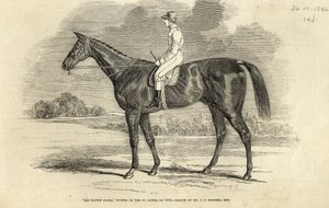 „Sir Tatton Sykes“, „St. Leger“ nugalėtojas, iš „The Illustrated London News“, 1846 m. rugsėjo 26 d. autorstwa John Frederick Herring Senior