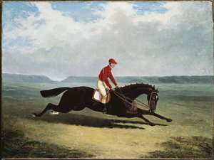Baron z Bumpy Up w Newmarket autorstwa John Frederick Herring Senior