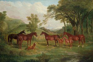 Stadnina Streatlam, klacze i źrebięta, 1836