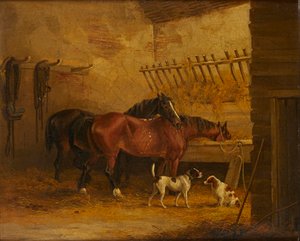 Konie i psy w stajni (olej na płótnie) autorstwa John Frederick Jr. (attr.to) Herring
