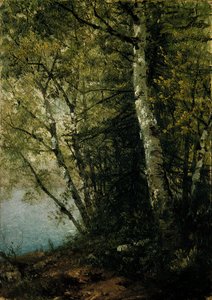 Studium buków autorstwa John Frederick Kensett