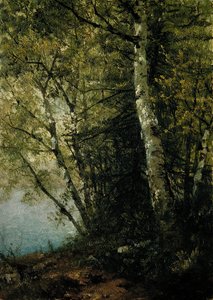 Studium buków, 1872. autorstwa John Frederick Kensett