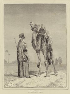 Arab i wielbłąd autorstwa John Frederick Lewis