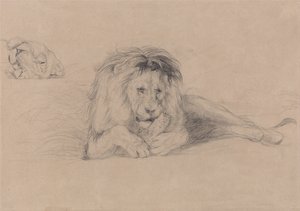 Studium lwa i studium głowy lwicy autorstwa John Frederick Lewis