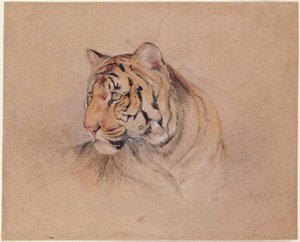 Tygrys autorstwa John Frederick Lewis