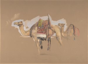 Dwa wielbłądy, ca. 1843. autorstwa John Frederick Lewis