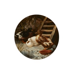 Kaczki na brzegu rzeki (olej na płótnie) autorstwa John Frederick Herring Senior
