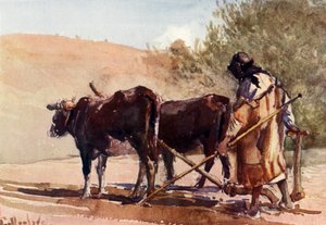 Orka na Górze Oliwnej, 1902. autorstwa John Fulleylove