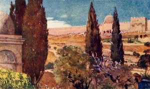 Cyprysy Ogrodu Getsemani, 1902. autorstwa John Fulleylove