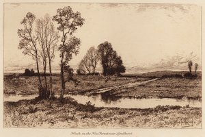 Wrzosowisko w New Forest, niedaleko Lyndhurst (rycina)