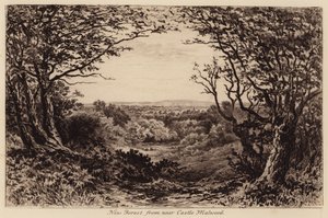 New Forest z okolic Castle Malwood (grawerunek)