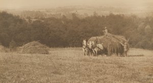 Załadunek siana, 1890-1900 (zdjęcie) autorstwa John G. Bullock