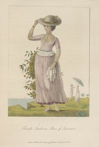 Niewolnica quadroon z Surinamu autorstwa John Gabriel Stedman