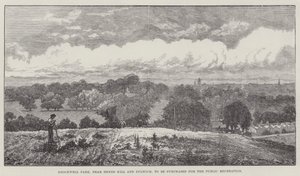 Brockwell Park, w pobliżu Herne Hill i Dulwich, do nabycia dla celów rekreacji publicznej autorstwa John Gilbert