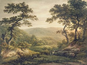Needlewood Forest, Hampshire (akwarela na papierze) autorstwa John Glover