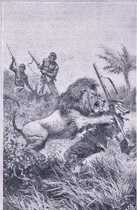 Koniec Livingstone