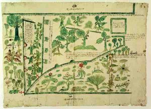 Mapa przedstawiająca część dworu Shawe, Berkshire, Anglia (atrament i akwarela na welinie) autorstwa John Hasard