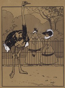 Strusie pióra (kolor lito) autorstwa John Hassall