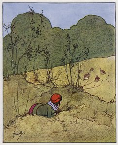 Kuropatwa (kolor lito) autorstwa John Hassall