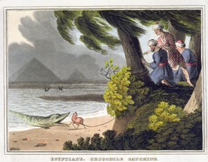 Egyptians Crocodile Catching, grawerowane przez Matthew Dubourga (fl.1785-1820), opublikowane przez Edwarda Orme
