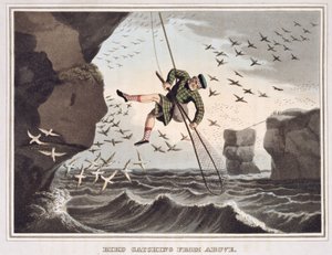 Bird Catching from Above, grawerowane przez Matthew Dubourga (fl.1785-1820), wydane przez Edwarda Orme, 1813 autorstwa John Heaviside Clark