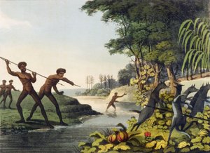 Polowanie na kangura, aborygeni w Nowej Południowej Walii, grawerowane przez Matthew Dubourga (fl.1813-1820) 1813