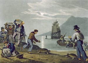 Turtle Catching on Land, grawerowane przez Matthew Dubourga (fl.1785-1820), opublikowane przez Edwarda Orme, 1813