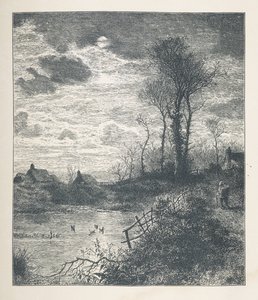 Tablica 23. Staw, z „Nature Pictures, seria trzydziestu oryginalnych ilustracji narysowanych na drewnie przez J.H. Della i rytowanych przez R. Patersona.John Henry Dell