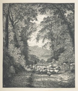 Tabliczka 4. Owce prowadzone przez pasterza po ścieżce.  Zdjęcia natury. Seria trzydziestu oryginalnych ilustracji narysowanych na drewnie przez JH Della i rytowanych przez R. Patersona.  John Henry Dell