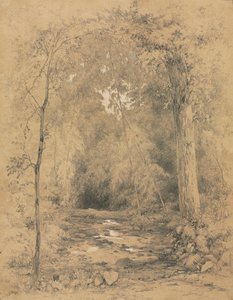 Wnętrze lasu, ok. 1900 r. 1870.